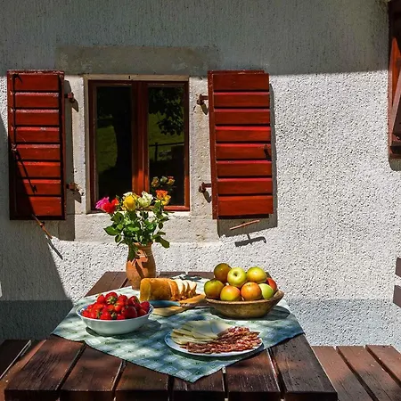 Apartment With Bbq In 8746